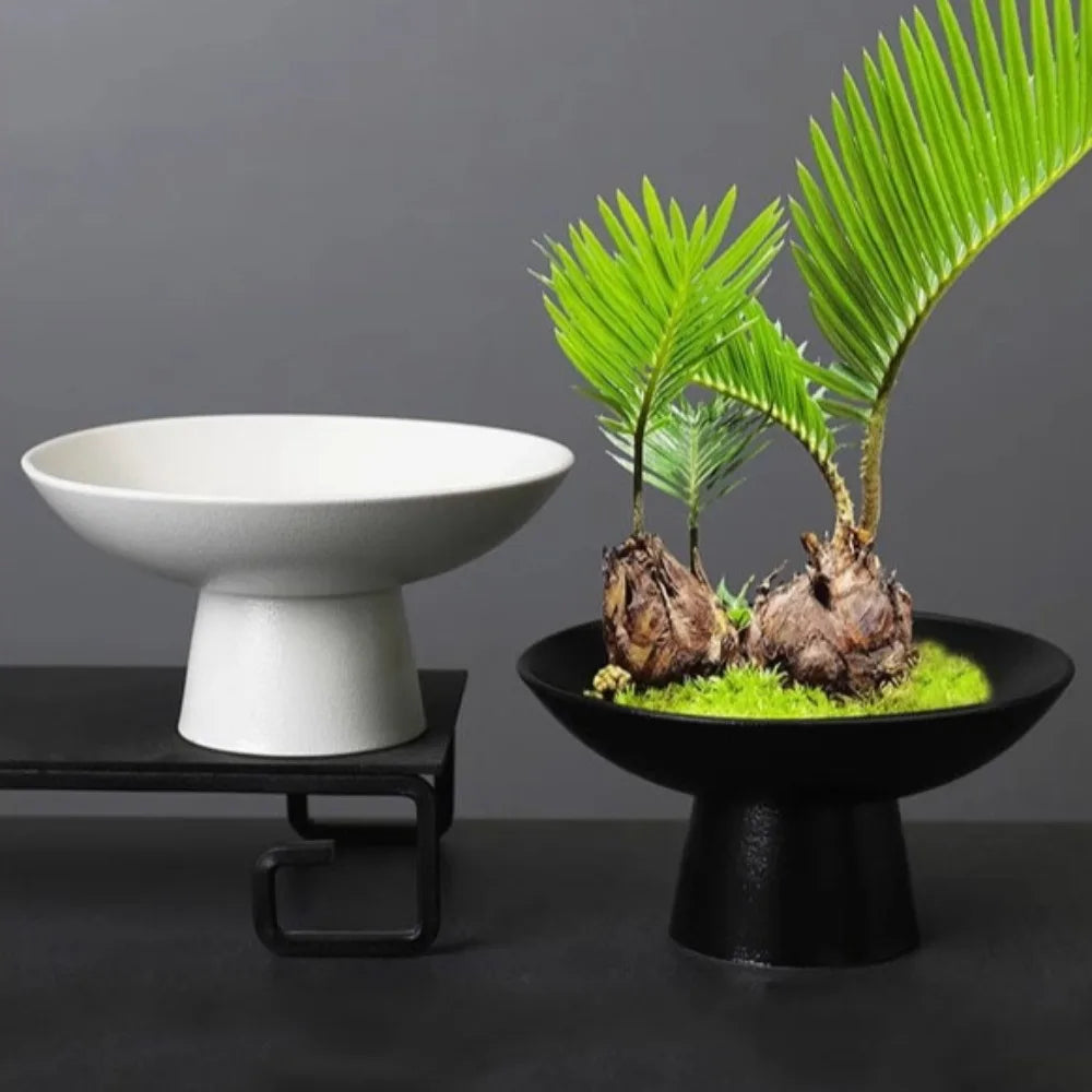 Two minimalist pedestal bowls in matte white and black, with one holding palm plants and green moss.
