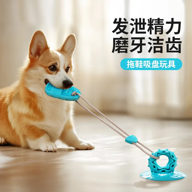 A Corgi plays with a blue suction cup interactive toy, featuring a chewable shape connected by a durable rope.