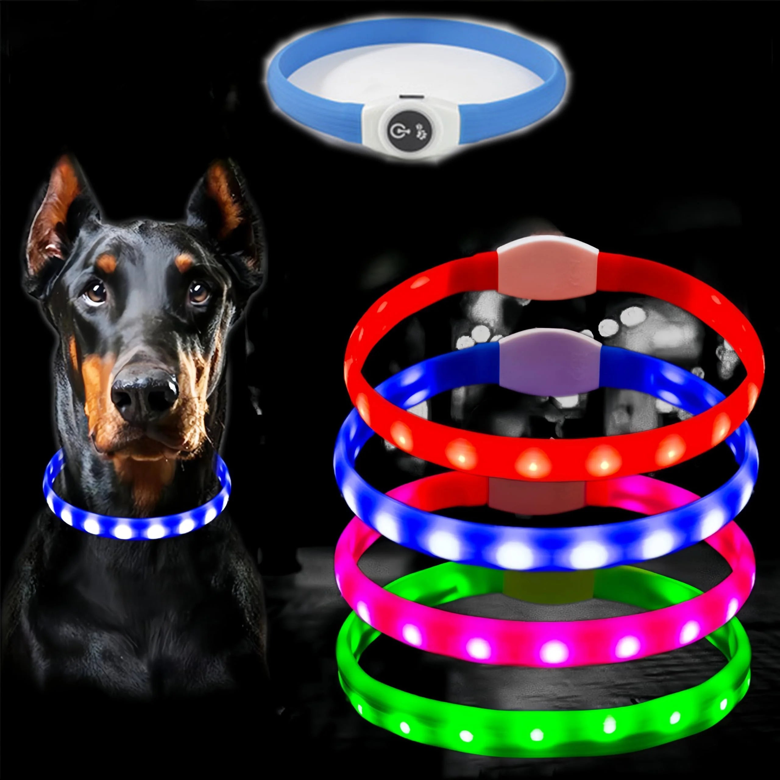 A Doberman wears a glowing blue LED collar, with a stack of red, blue, pink, and green waterproof collars shown nearby.