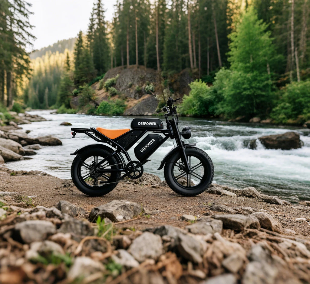 3500W Powerful motor 48V 60AH lithium battery 20 Inch Fat Tire