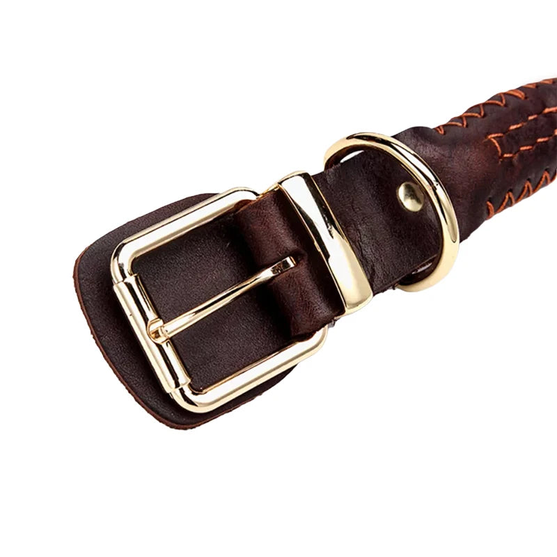 Close-up of a dark brown braided leather dog collar with a polished gold-tone metal buckle and D-ring.