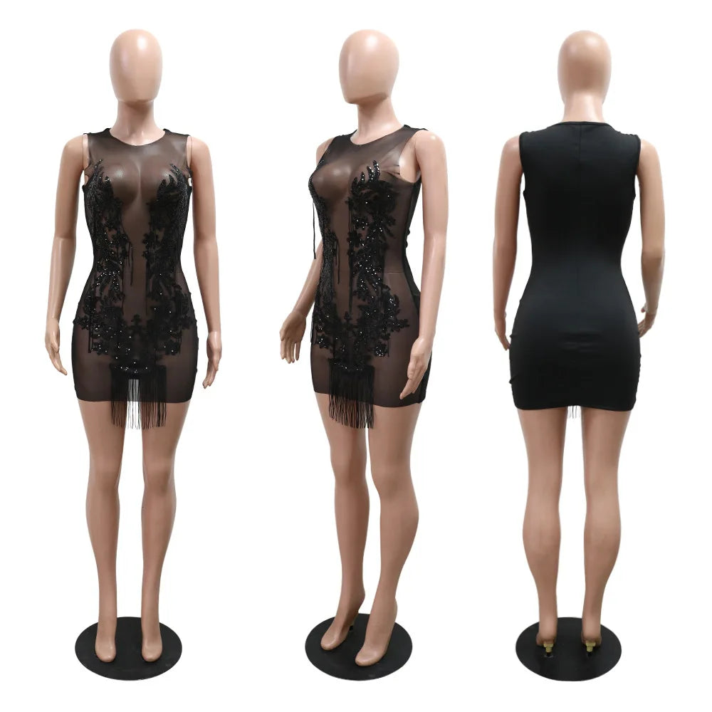 Black sleeveless mini pencil dress with sheer mesh, sequin embroidery, and a tassel hem.