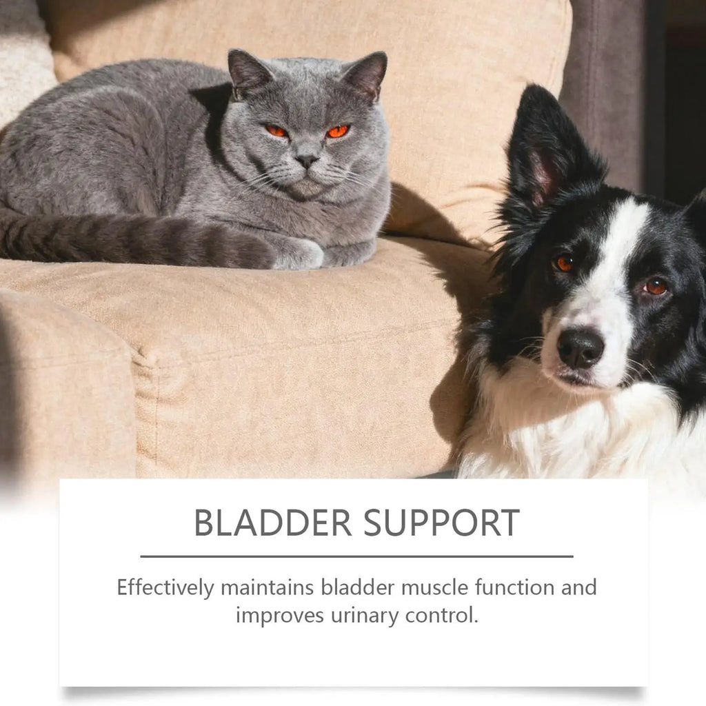 A grey cat and a black and white dog resting together, with text below promoting bladder support for pets.