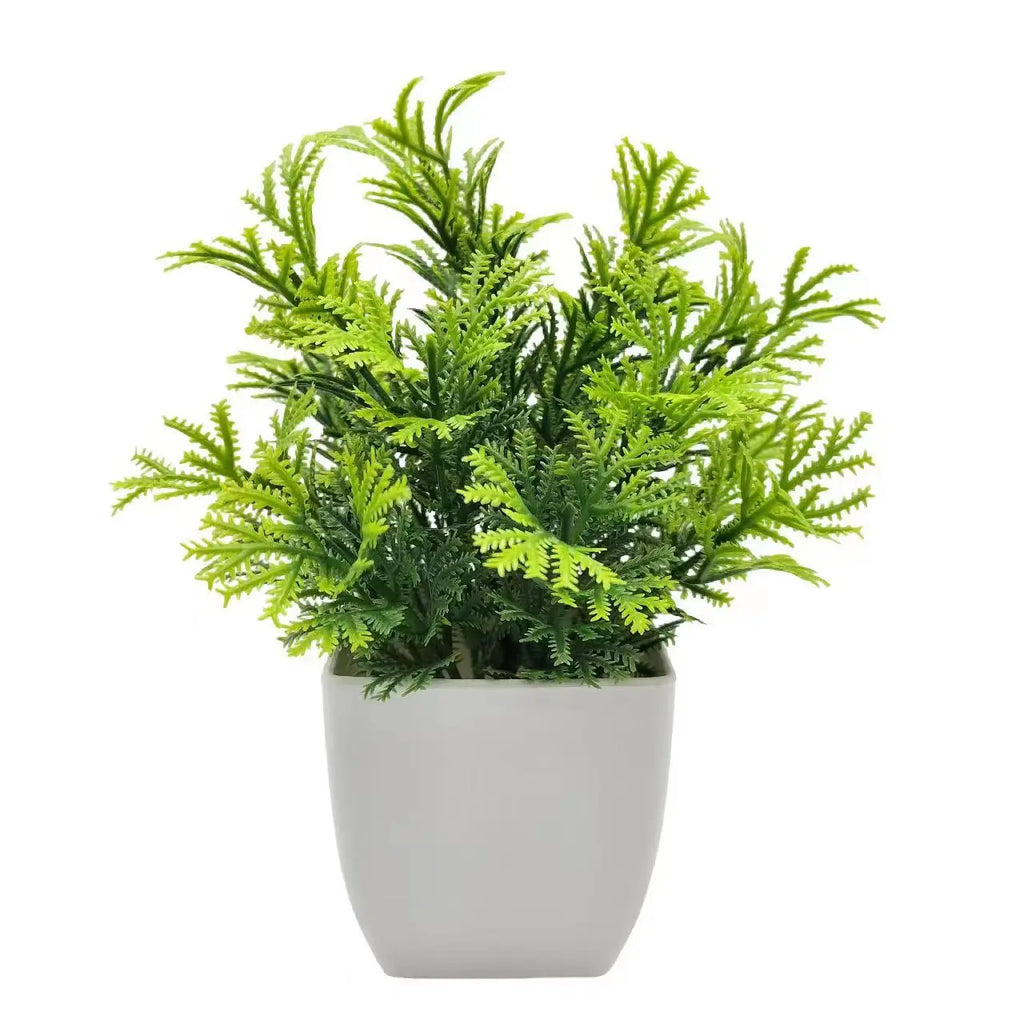Artificial green fern plant with feathery leaves in a simple, solid matte white plastic pot, isolated on white.