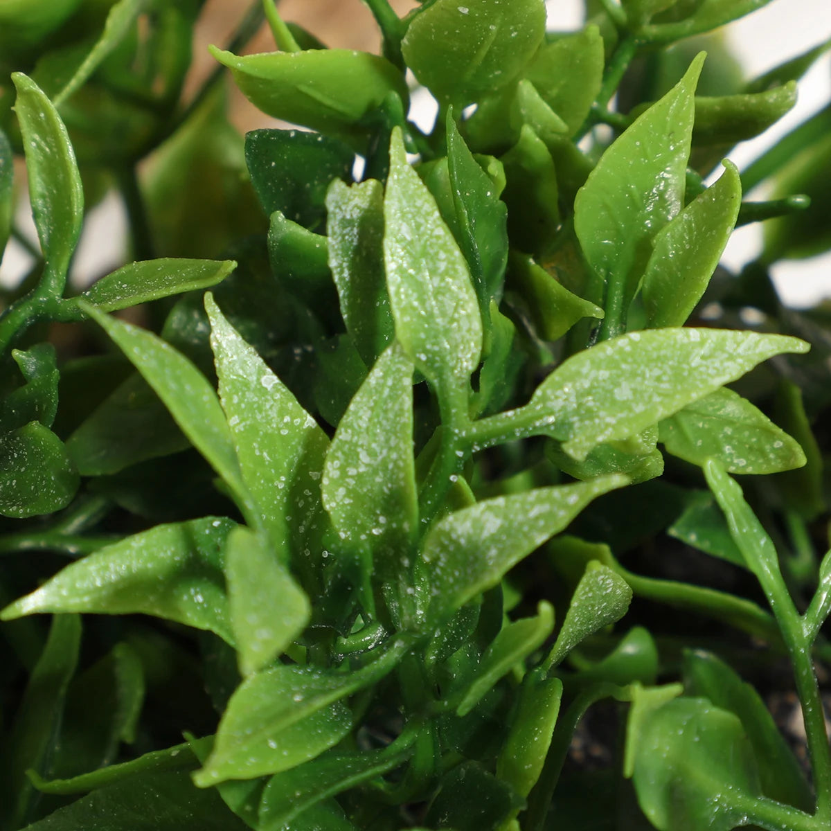 Close-up of vibrant green, artificial eucalyptus leaves with a light, speckled dusting on a textured plastic surface.