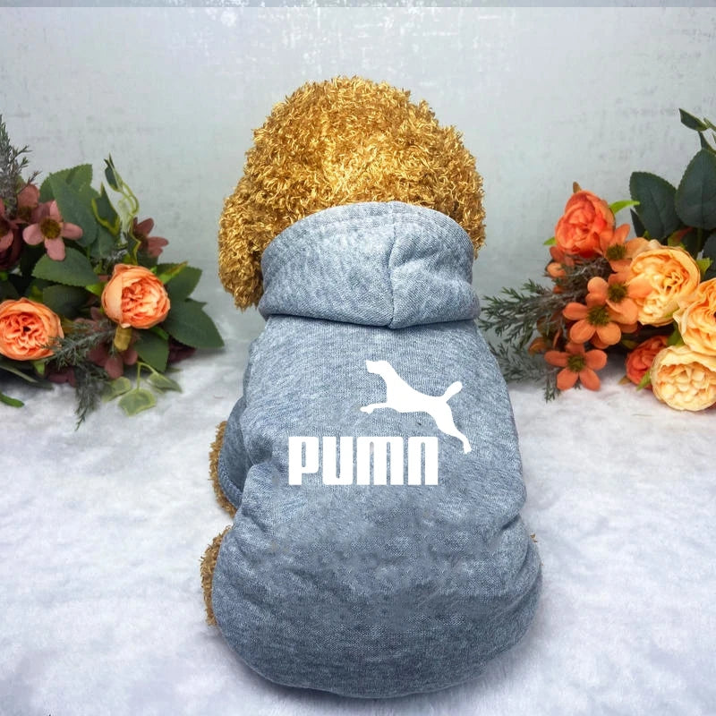 A fluffy brown dog wearing a cosy grey hooded sweatshirt with a white graphic print on the back.
