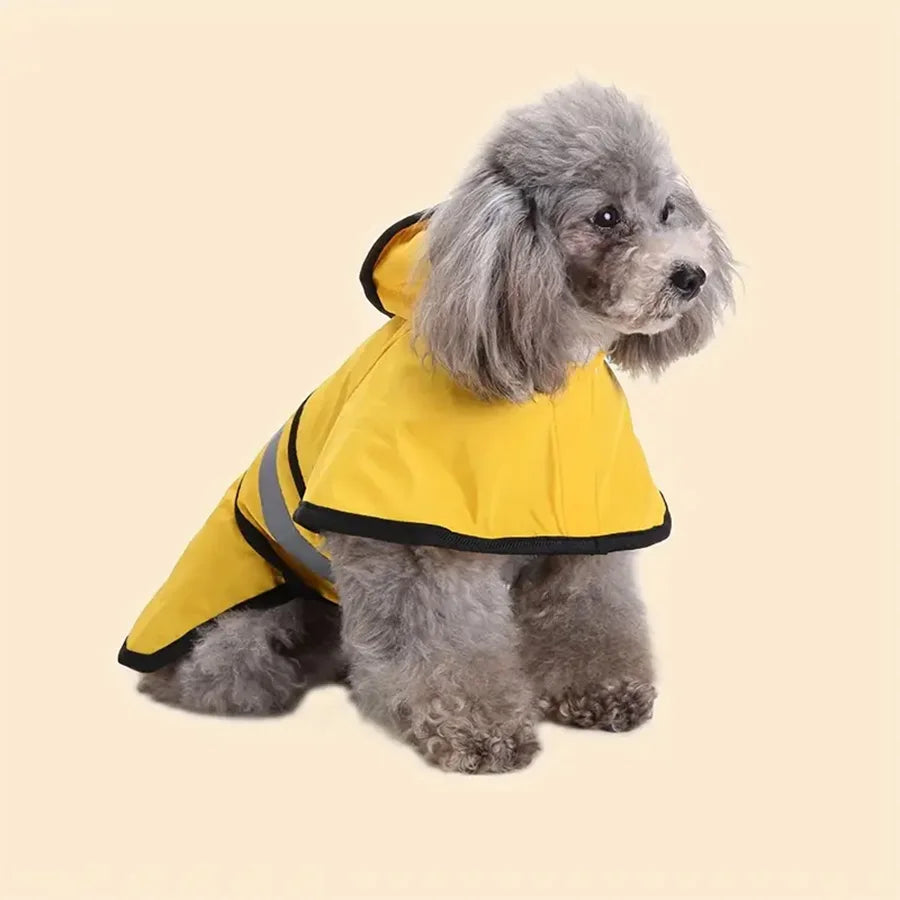 A grey dog wearing a bright yellow, hooded waterproof raincoat with black trim and a reflective strip.