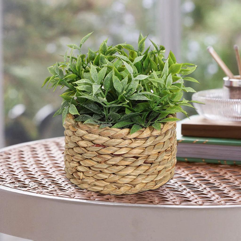 Artificial green plant in a small, round woven wicker basket sitting on a matching woven table.