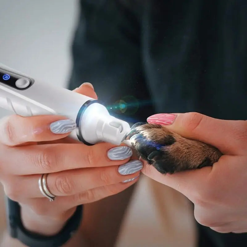 A person using a sleek, white electric pet nail grinder with a built-in LED light to trim a dog's claw.