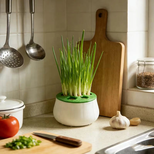 Green onions growing in a round, white hydroponic planter with a green lid, sitting on a kitchen counter.