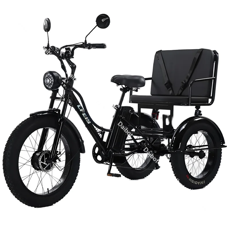 750W Fatbike Electric Bicycle 48V High Power With Passenger Seat