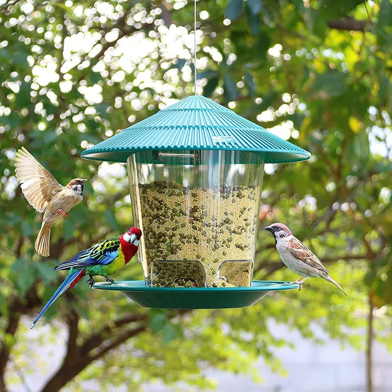 Teal plastic hanging bird feeder with a clear grain reservoir, attracting colorful wild birds in a garden setting.