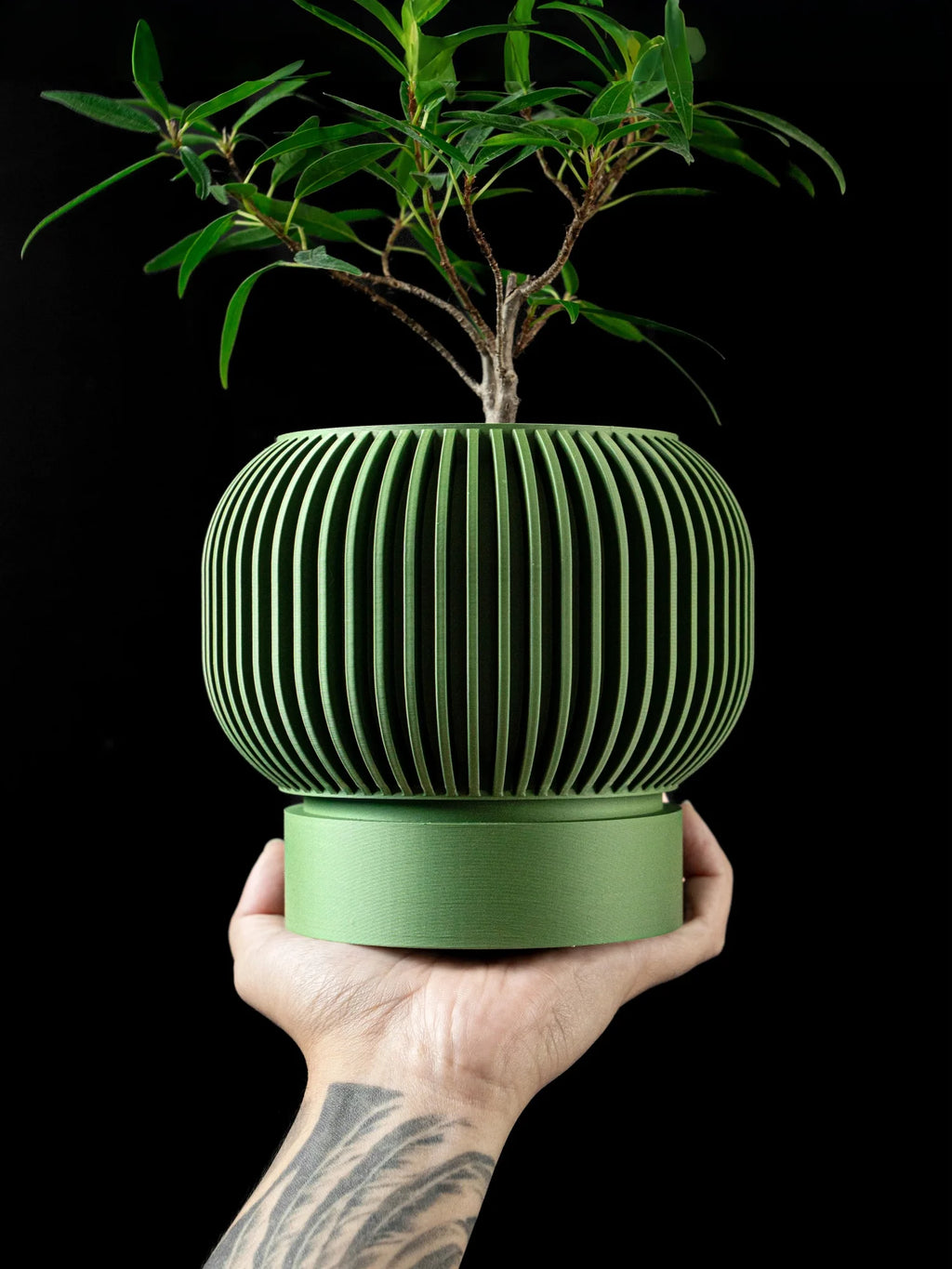 Hand holding a green, 3D-printed plant pot with vertical slats and a solid base, containing a small leafy plant.