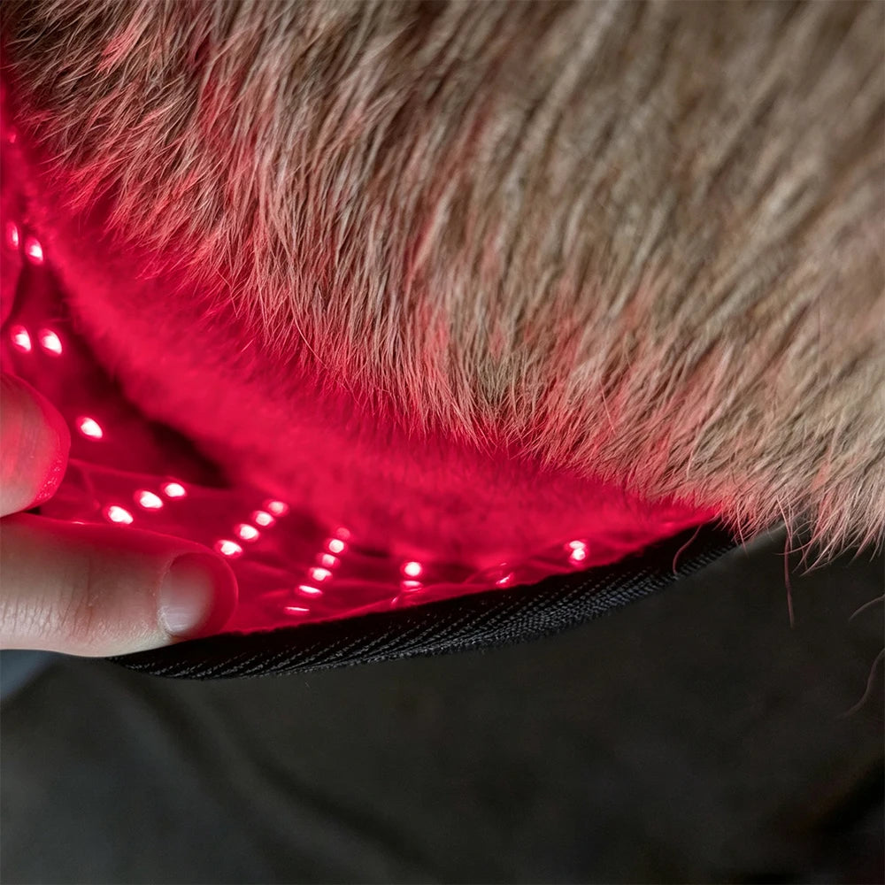 Flexible black red light therapy wrap with glowing red LED lights applied to a dog's fur.