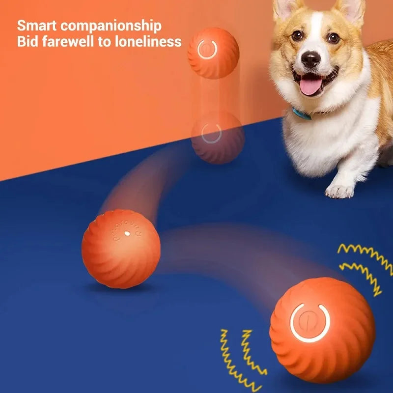 Orange, textured, automatic interactive dog ball bouncing on a blue surface, with a happy dog looking on.