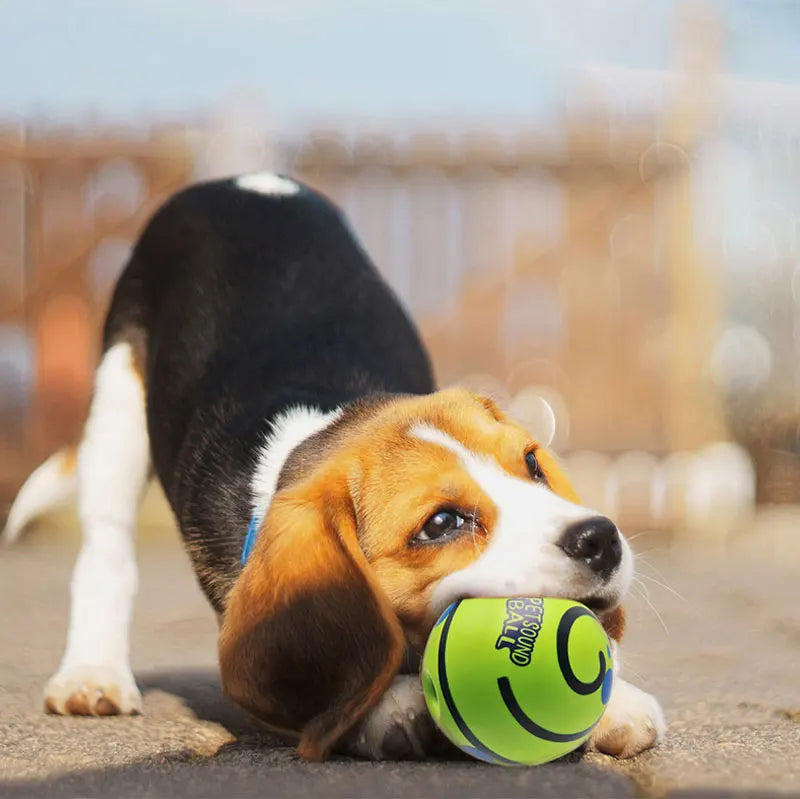 A beagle puppy plays with a bright green interactive giggle ball featuring black curved lines and cut-out holes.