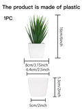 A small plastic potted plant with spiky green leaves in a square white pot, shown with dimensions and labels.