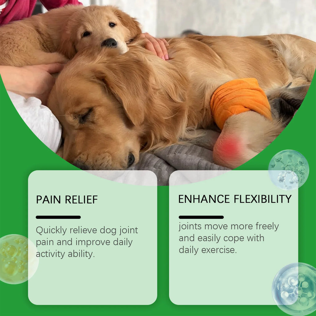 Golden retriever resting with an orange joint support wrap on its leg, highlighting pain relief and improved mobility.