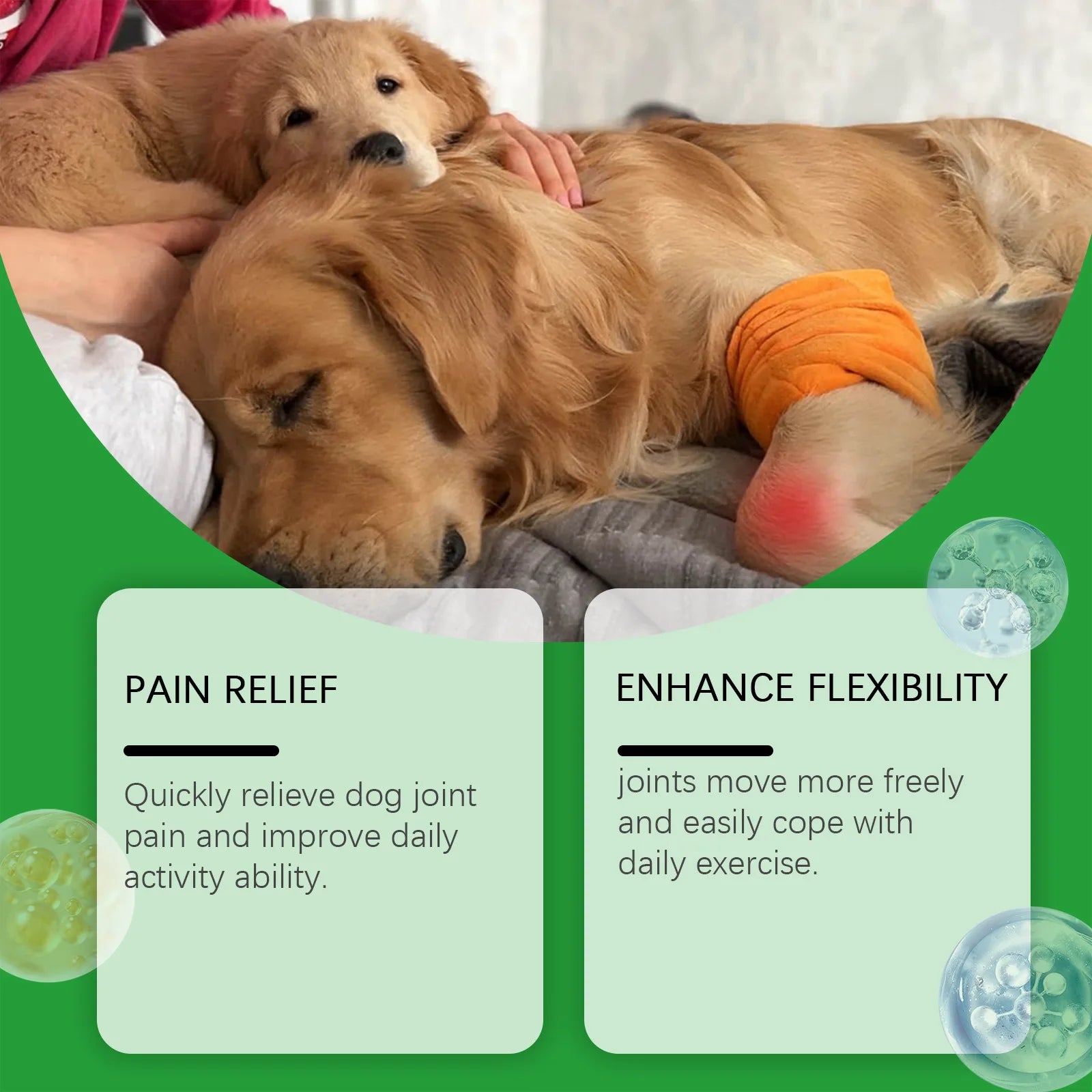 Golden retriever resting with an orange joint support wrap on its leg, highlighting pain relief and improved mobility.