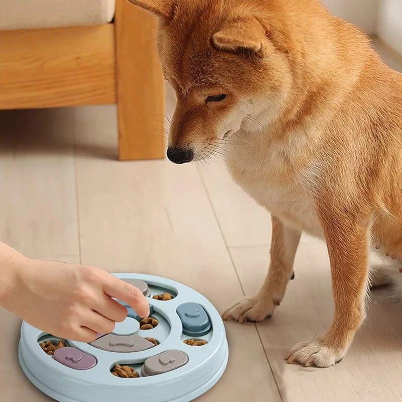 A dog looks at a hand interacting with a round, light blue puzzle feeder containing dry biscuits and sliding blocks.