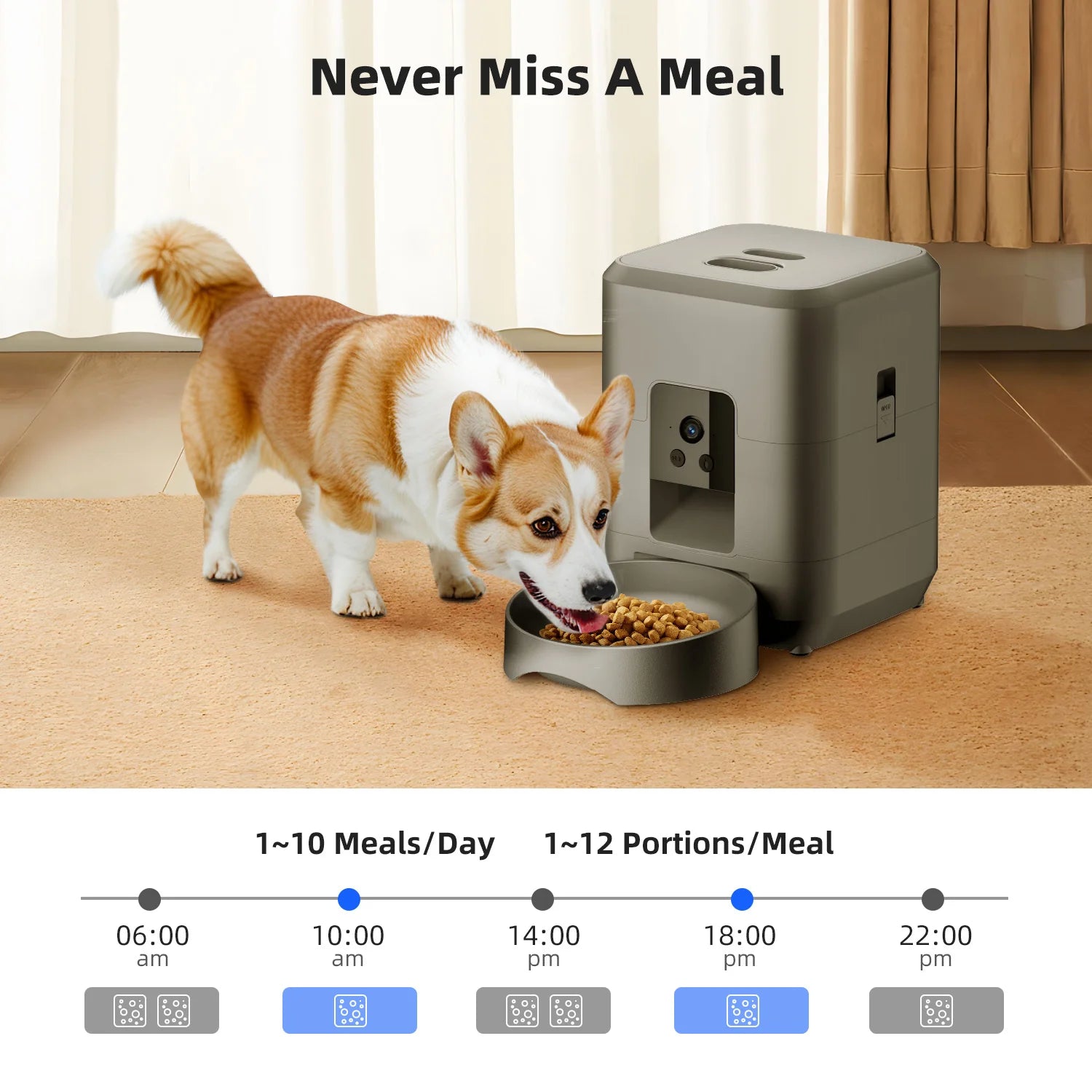 Corgi eating from a sleek, grey automatic pet feeder with a camera, placed on a rug. Includes a meal-scheduling graphic.