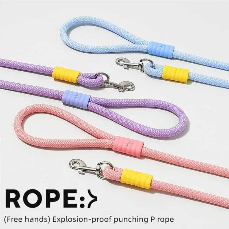 A set of pastel-coloured dog leashes in blue, lilac, and pink, featuring durable rope design and silver metal clasps.