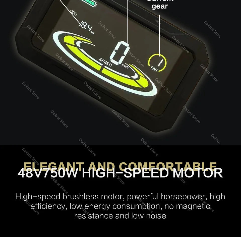 Powerful Electric bike 750W 48V Fat Tire bike