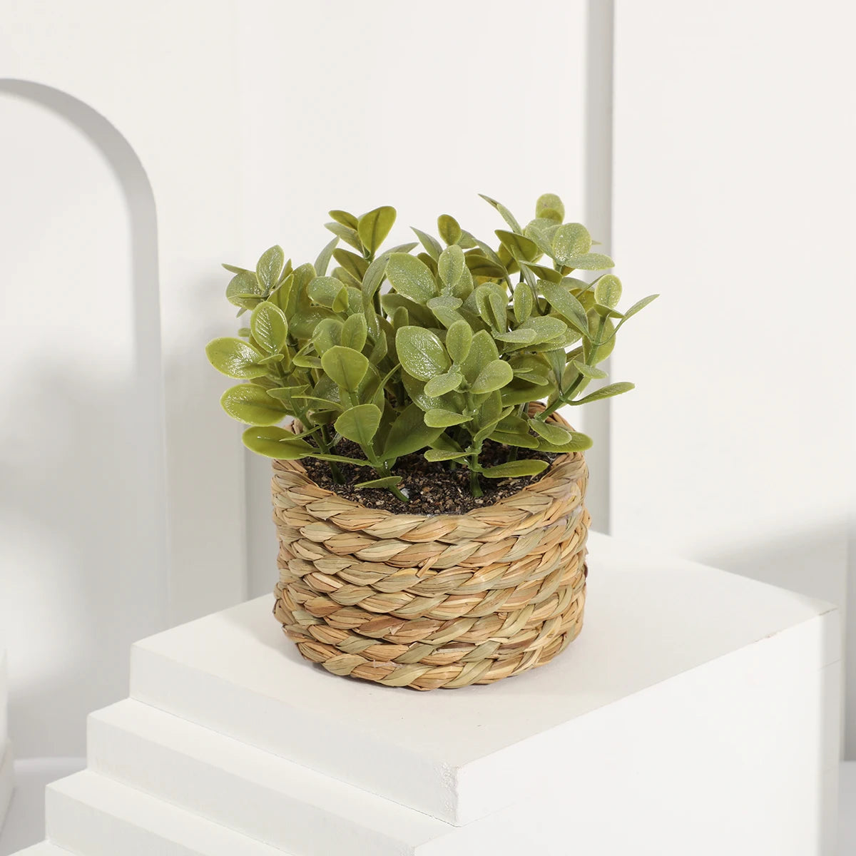 Small artificial green plant with rounded leaves in a round, woven straw-style basket sitting on a white platform.