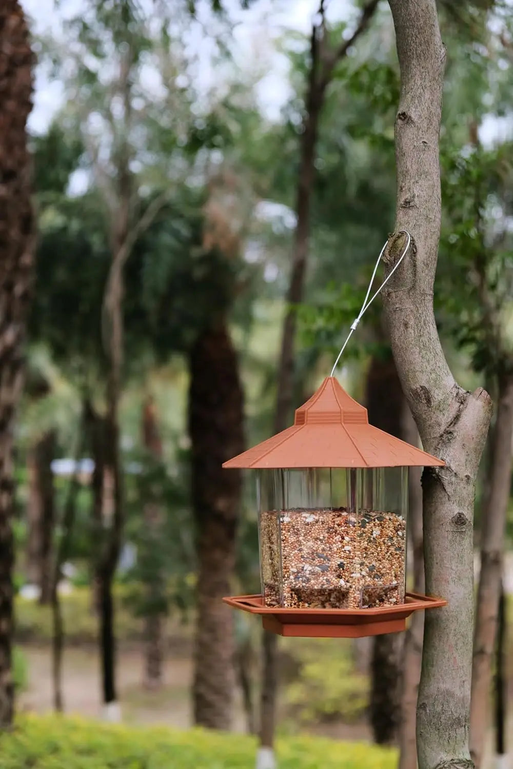 Hexagonal hanging bird feeder with a brown roof and base, clear acrylic seed reservoir, hanging from a tree branch.