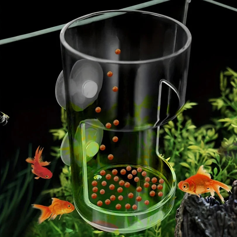 Clear glass fish feeder funnel with suction cups attached to an aquarium wall, containing floating food pellets.