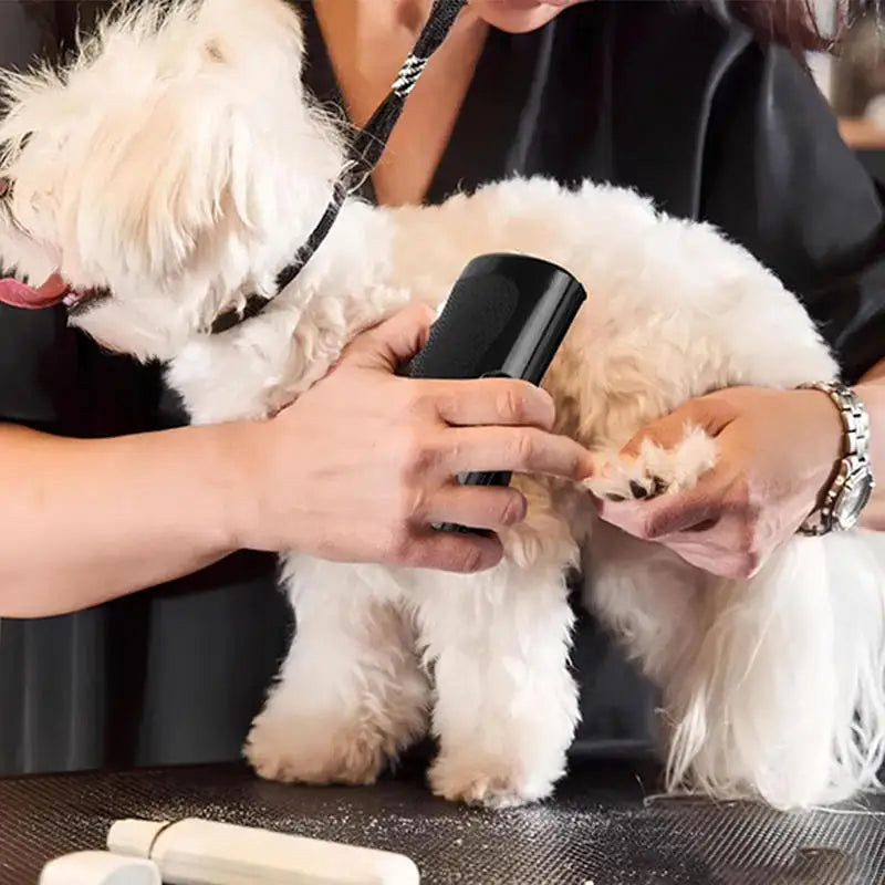 A person using a sleek, black electric pet grooming trimmer on the paw of a small, white fluffy dog.