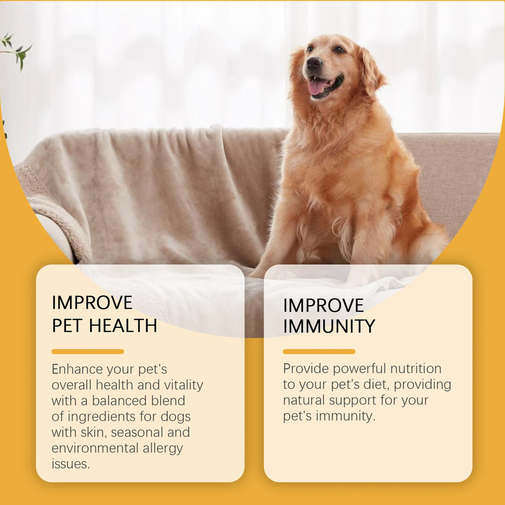 Golden retriever sitting on a sofa with text overlays about improving pet health and immunity.