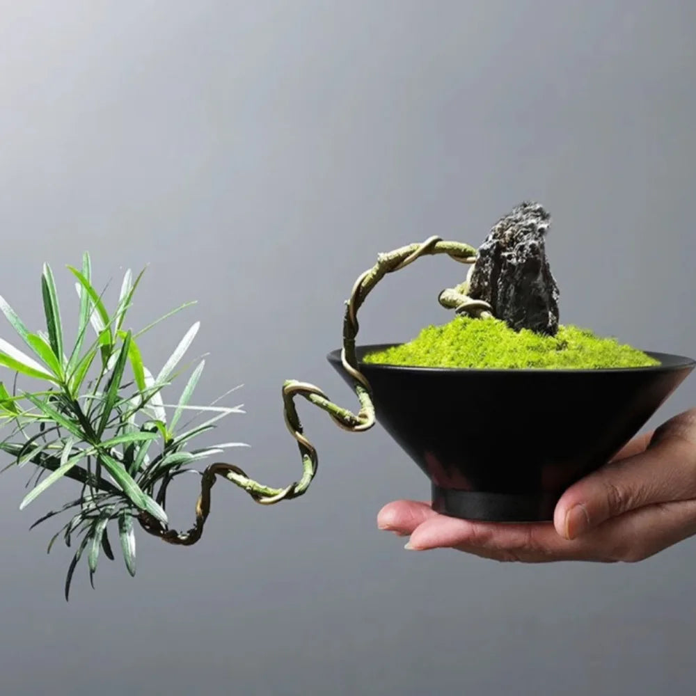 A hand holds a minimalist black bowl with a sculpted bonsai tree, bright green moss, and a decorative grey stone.