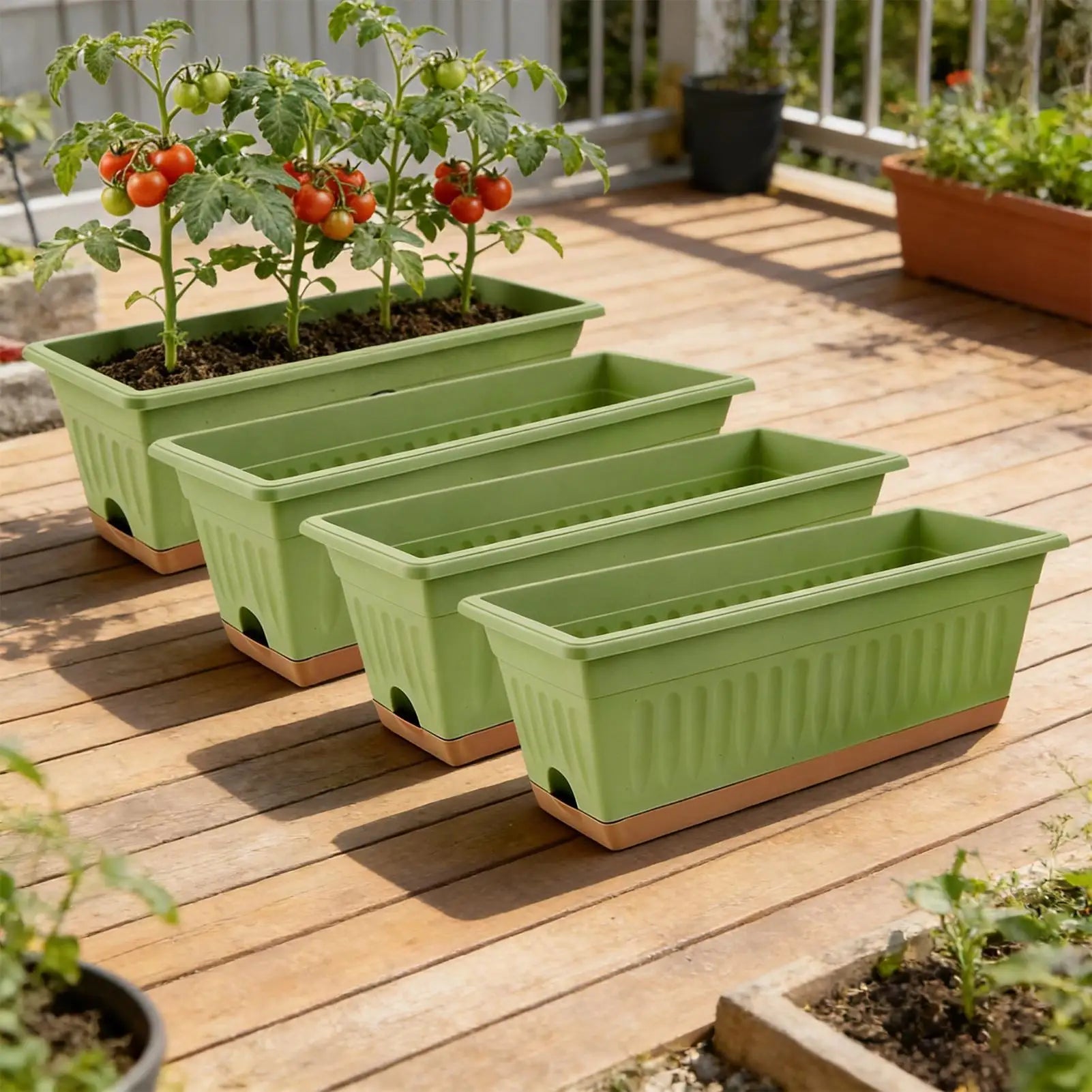 Four rectangular, sage-green plastic planters with terracotta bases arranged on a wooden deck; one holds tomato plants.