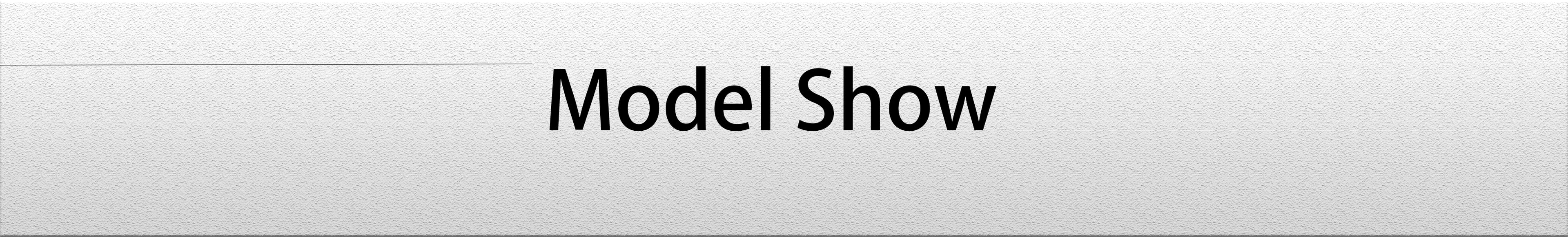 A graphic banner with the text "Model Show" in black, set against a textured, light grey background.