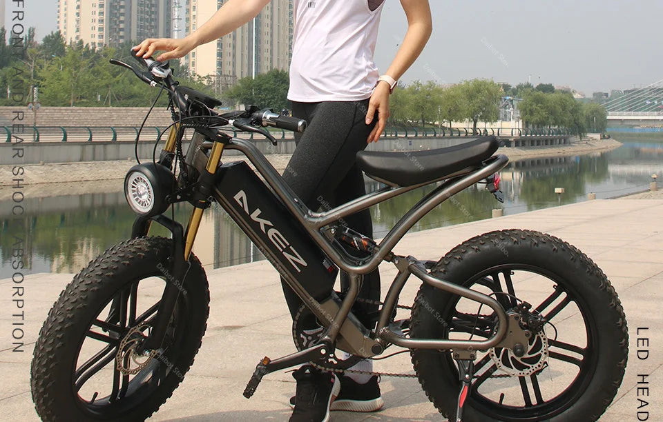 Powerful Electric bike 750W 48V Fat Tire bike