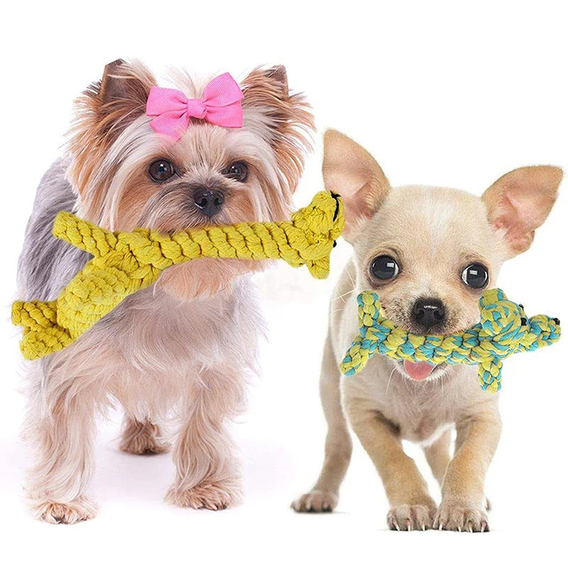 Small dogs holding yellow and blue woven rope animal toys in their mouths for teeth cleaning.