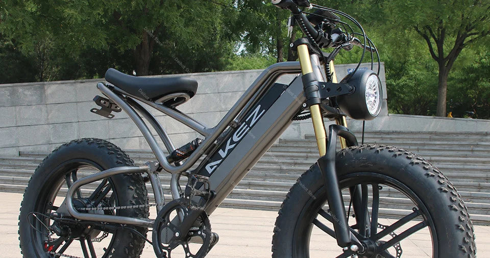 Powerful Electric bike 750W 48V Fat Tire bike