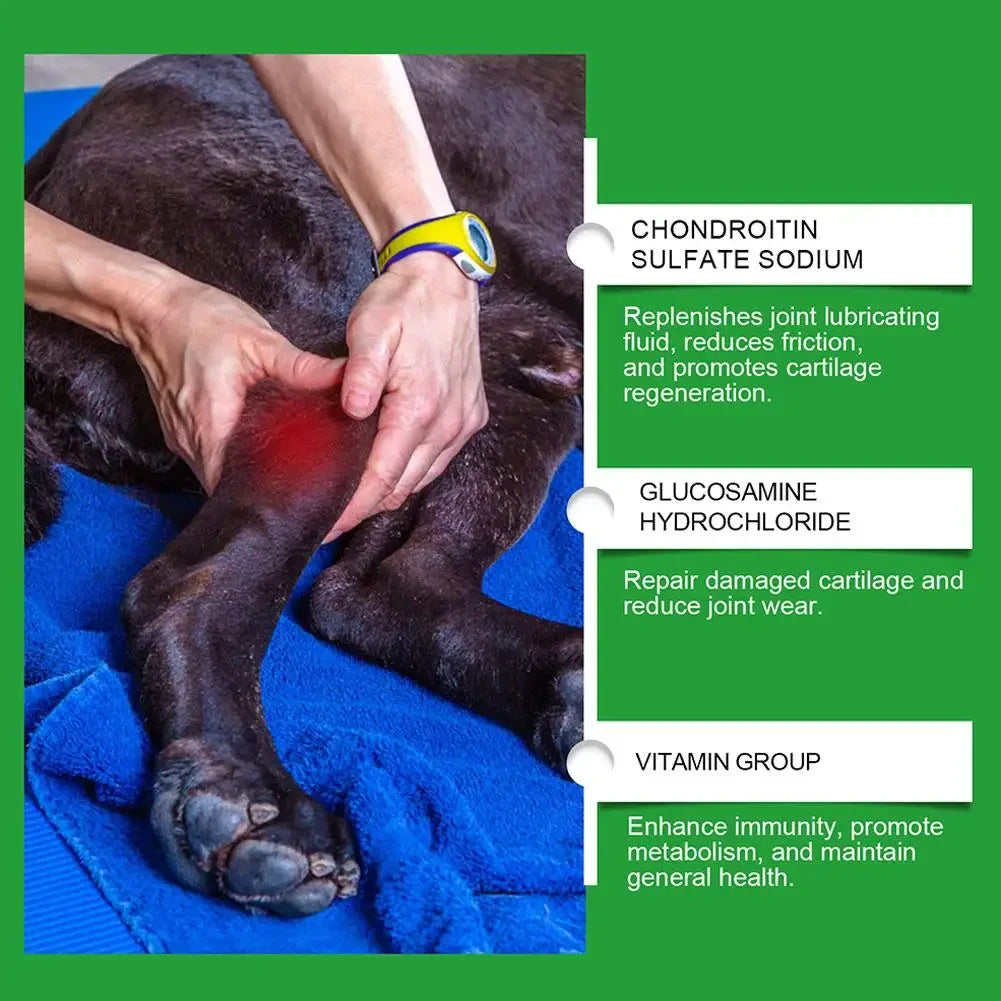 Close-up of a person massaging a brown dog’s leg, with text boxes detailing joint health benefits.