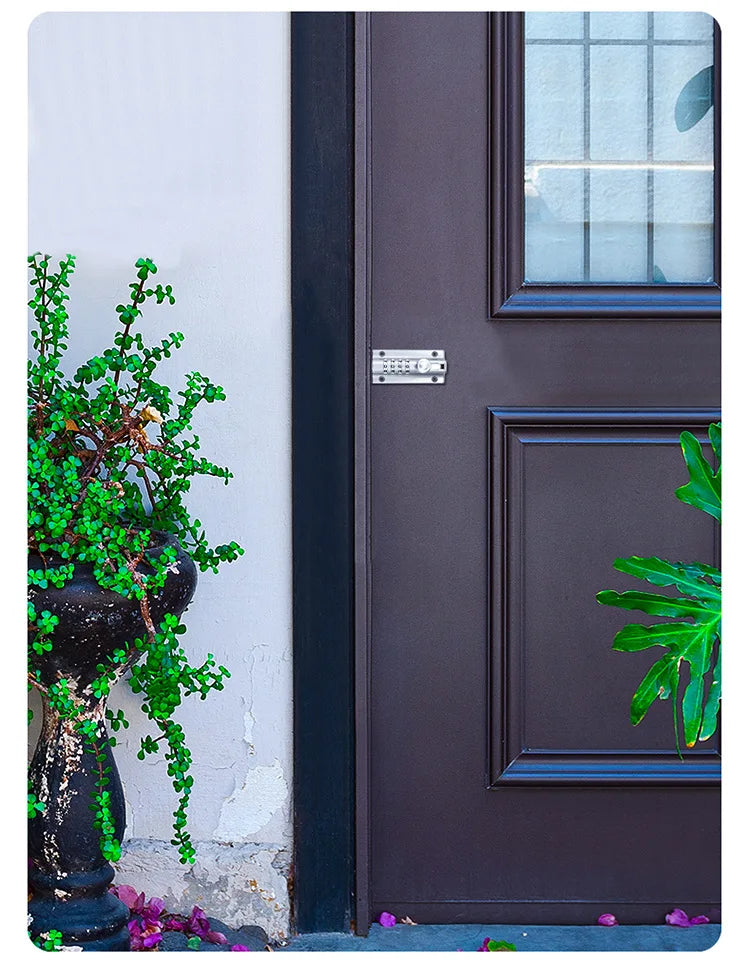 Silver metal combination deadbolt lock installed on a dark brown wooden door.
