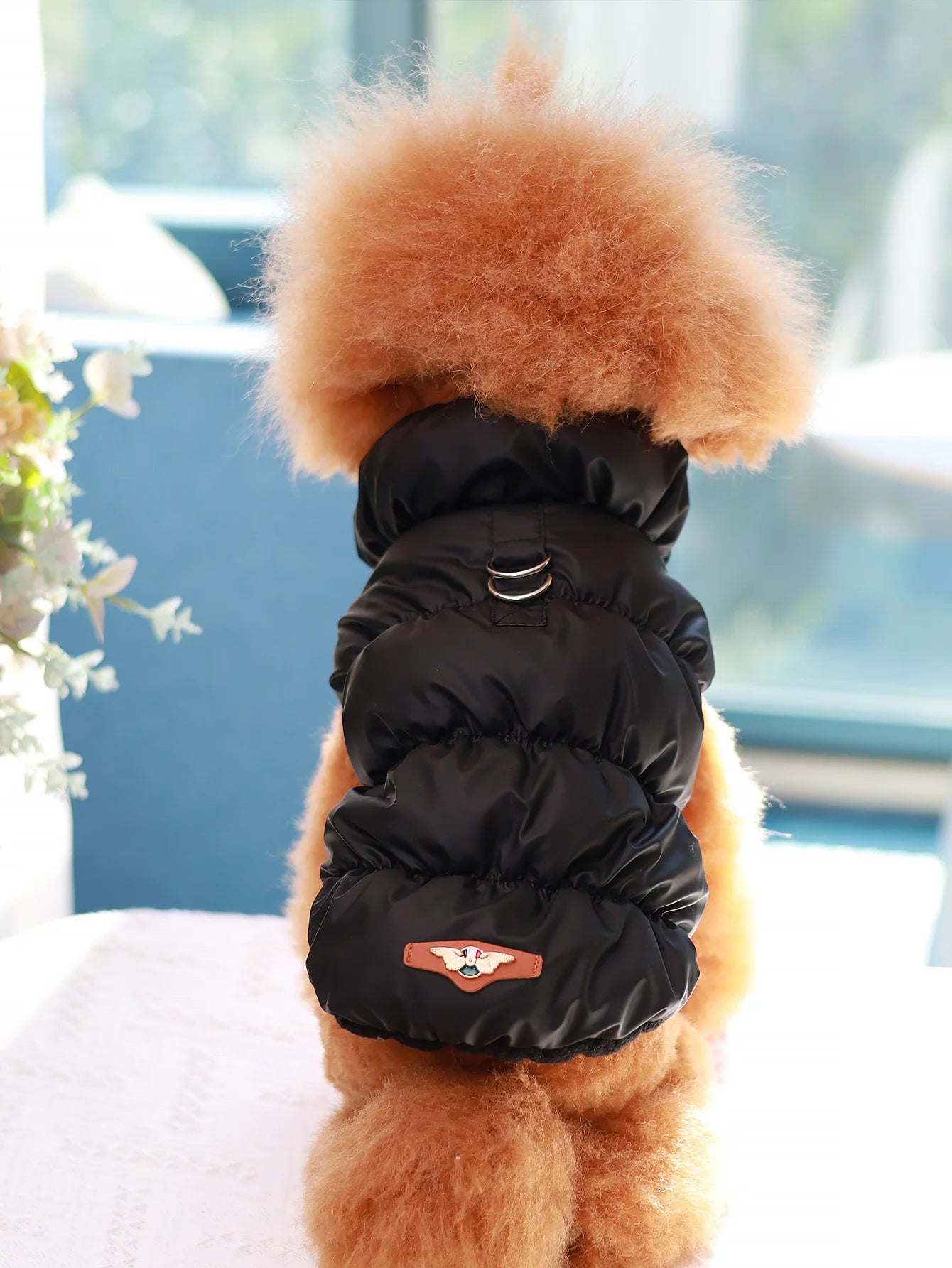 A fluffy brown dog wearing a warm, black quilted winter gilet with a high collar and metal harness attachment rings.