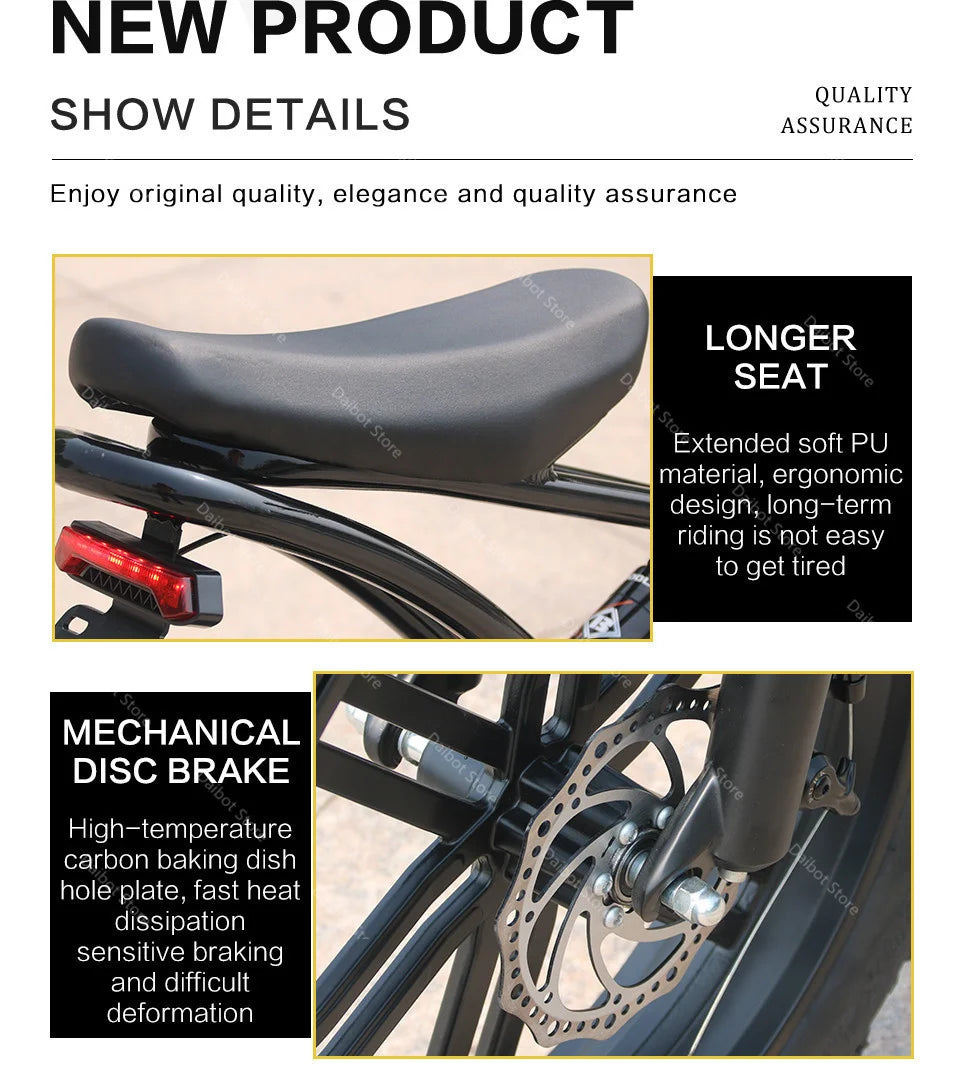 Powerful Electric bike 750W 48V Fat Tire bike