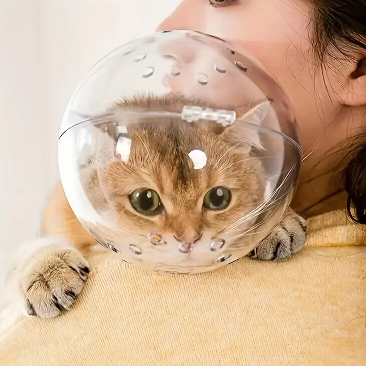 A ginger cat wears a clear, spherical breathable grooming helmet with ventilation holes, held by a person.