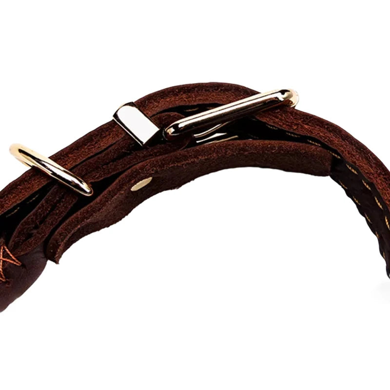 Close-up of a dark brown braided leather dog collar featuring a sturdy gold-tone metal buckle and D-ring.