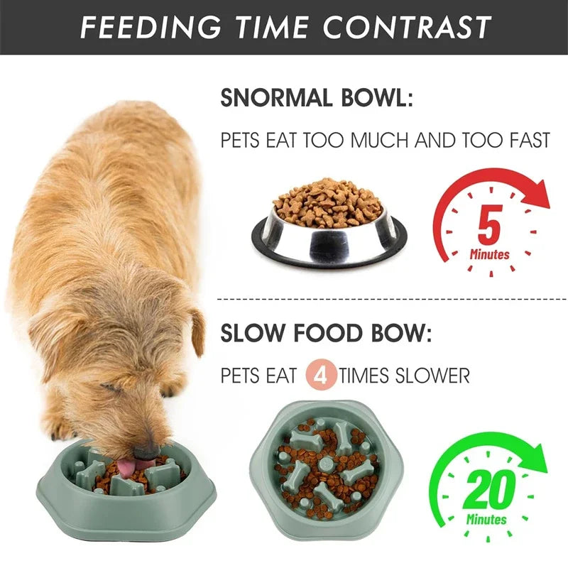 Infographic comparing a standard metal bowl to a green, hexagonal slow-feeder bowl for dogs.