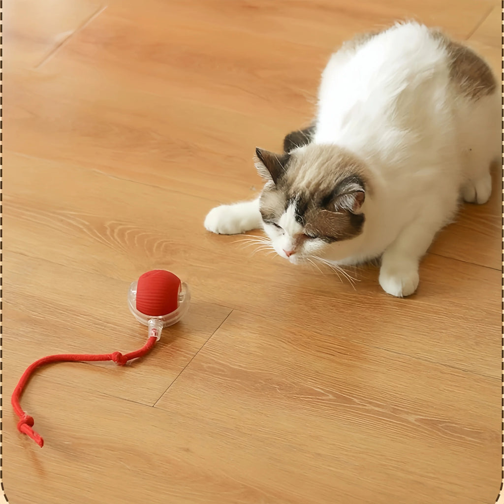 A fluffy cat watching a red interactive toy ball with a trailing red rope on a wooden floor.