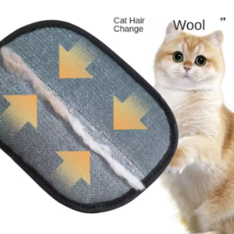 Grey oval lint remover tool with arrows indicating hair collection, shown next to a fluffy ginger cat.