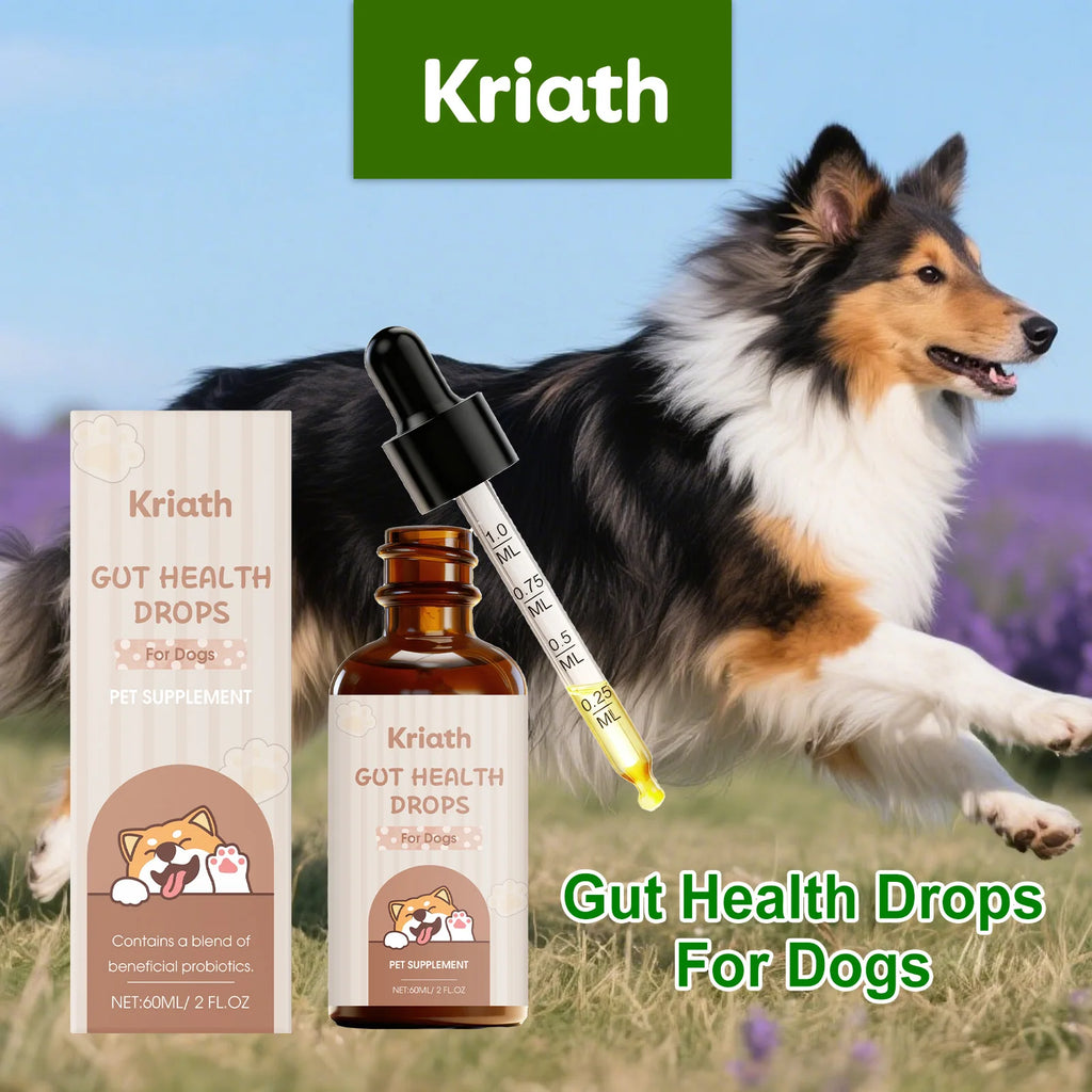 Gut health supplement drops for dogs, featuring a brown glass bottle, measuring dropper, and cute dog-themed packaging.