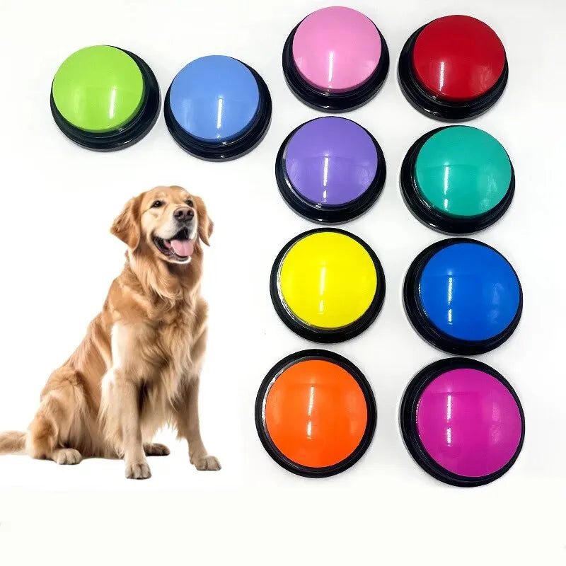 A golden retriever sitting next to a set of ten colourful, round, recordable dog training buttons.