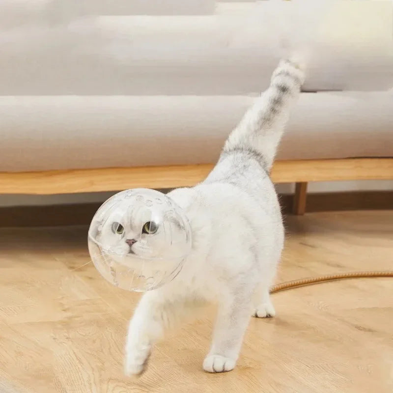 A white cat wearing a clear, breathable spherical grooming helmet while walking indoors on a wooden floor.